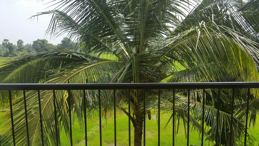 Serene View Tourist Rest Hotel Anuradhapura Exterior foto