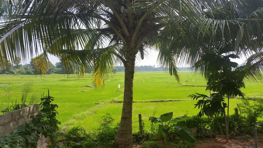 Serene View Tourist Rest Hotel Anuradhapura Exterior foto