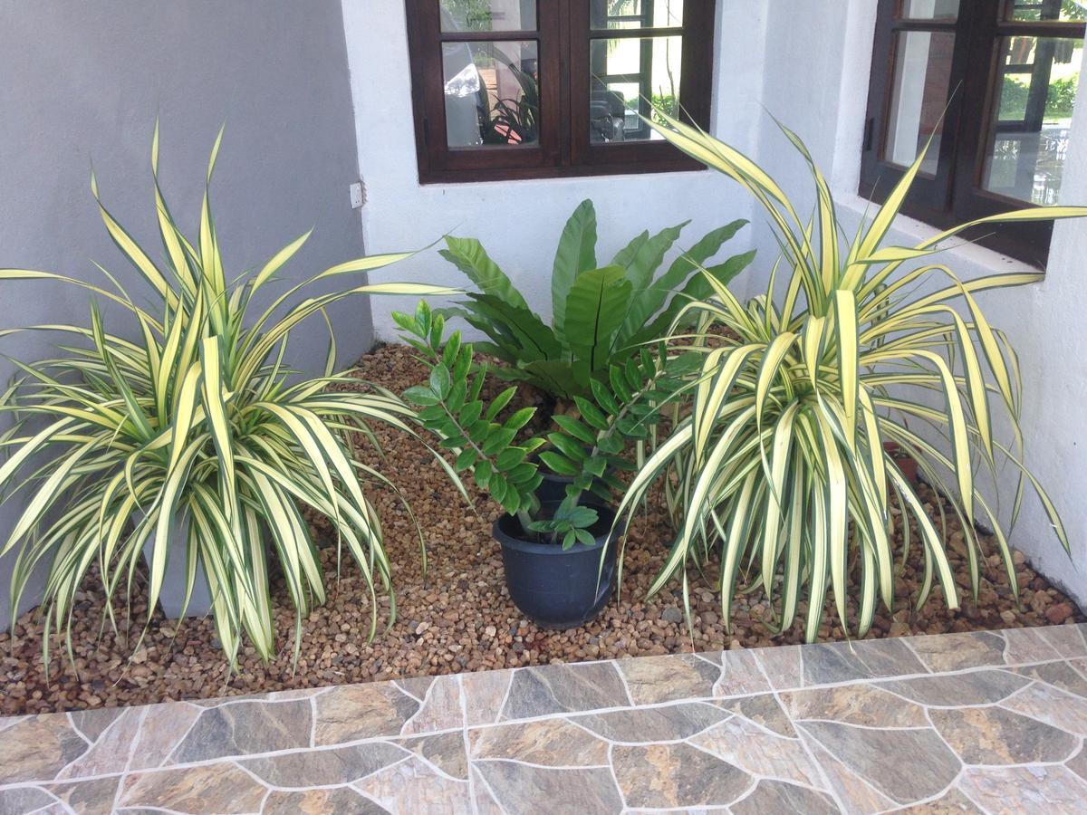Serene View Tourist Rest Hotel Anuradhapura Exterior foto