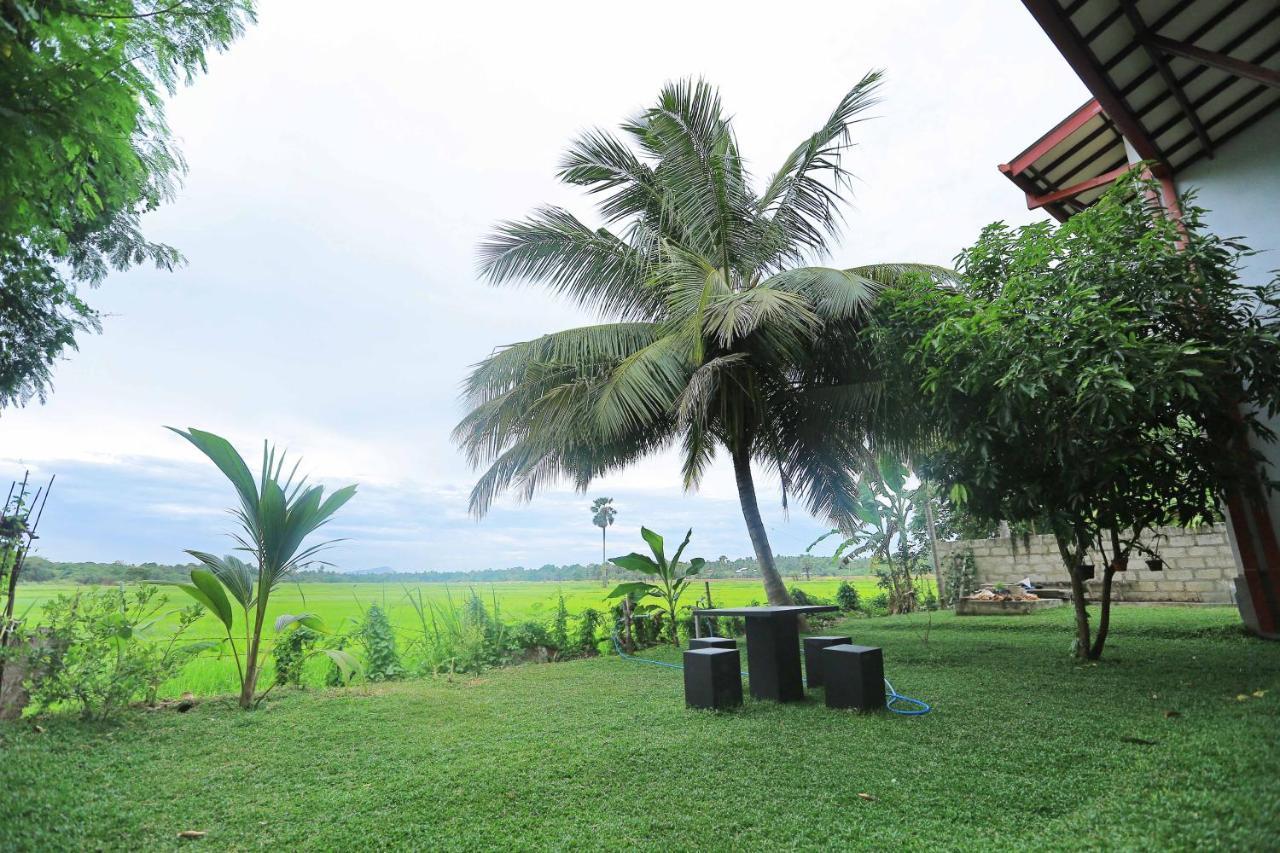 Serene View Tourist Rest Hotel Anuradhapura Exterior foto